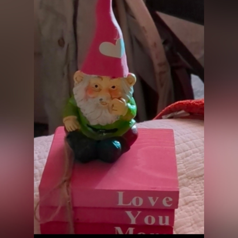 ❣️Valentine's Gnome w/Wooden Book Set
